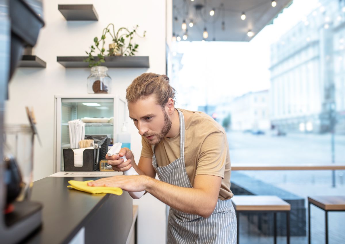 Sistema Especial de Empleadas del Hogar